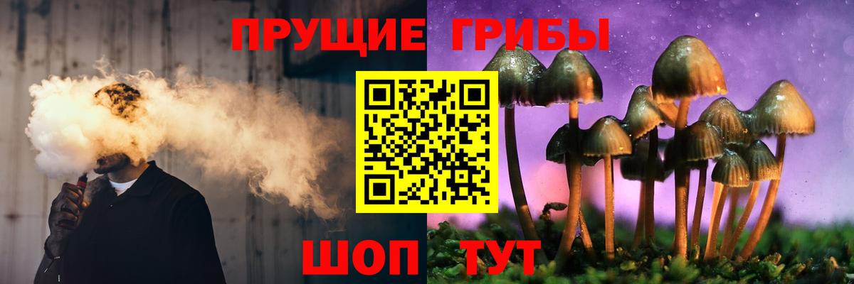 как найти закладки  Вход с VPN  Сибай  Псилоцибиновые грибы прущие грибы  Галлюциногенные грибы мицелий 